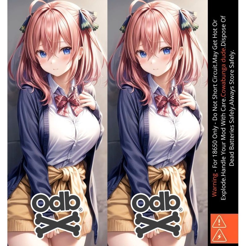 

[COD] Garskin Stiker Famstore Pelindung Baterai Stiker Wrap 18650 Waifu V6 Dan Anti Gores 19 Label Custom Presisi Terlaris