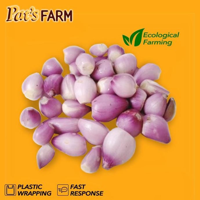 

JH8 Bawang Merah Brebes Kupas (berat kotor)