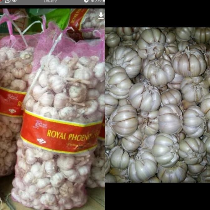 

JH8 Bawang Putih Honan Kotor