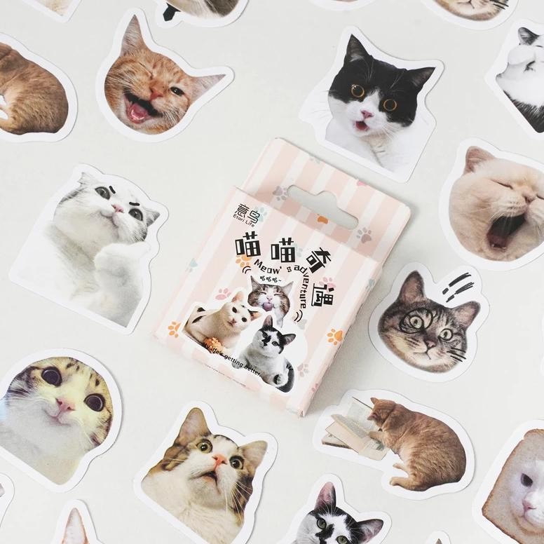

Etori Life 46 Pcs Cartoon Cute Animal Kitten Student Diy Stationery Decoration Stickers Suitable For Diaries,Cups,Scrapbooks