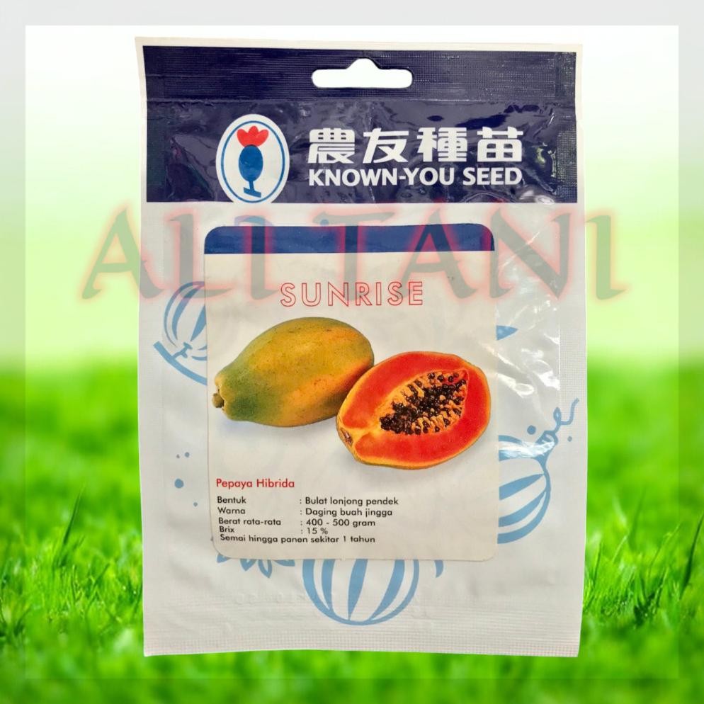 Special Sunrise Kemasan 60 Butir Benih/Bibit Pepaya Bulat Known-You Seed Sd83