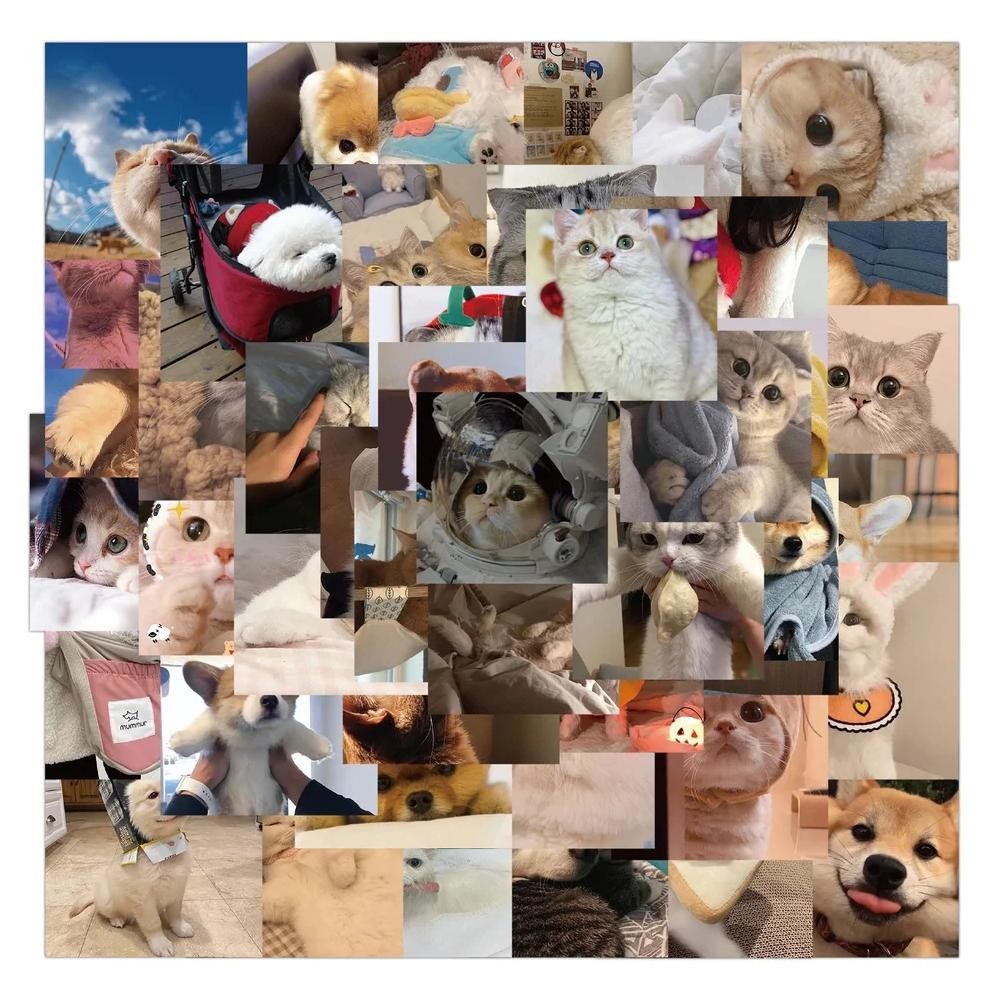 

48Pcs Cute Cat Dog Meme Graffiti Stickers For Laptop Phone Snowboard Luggage Fridge Diy Decal