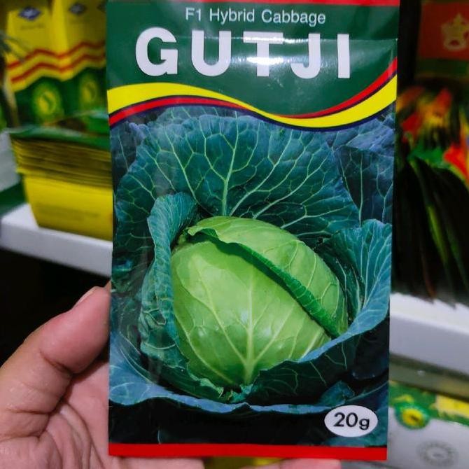 TERMURAH - Benih kubis GUTJI F1 20 gram kol hibrida gutji dari AMS