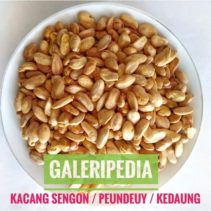 

JH8 Kacang Sengon Peundeuy Kedaung 1KG