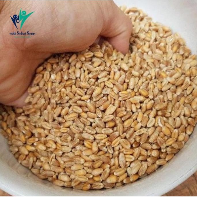 

ID | BIJI GANDUM UTUH 1KG WHOLE WHEAT FOOD GRADE