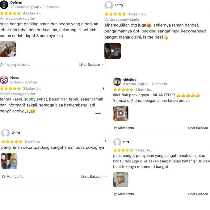 

JH8 paket kombucha lengkap