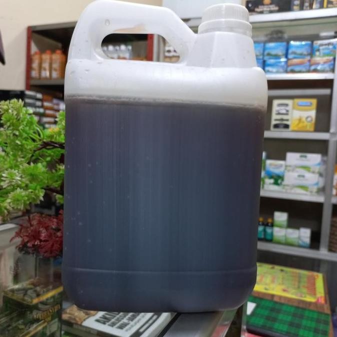 

NEW Madu Murni Multiflora 5 kg | Madu Multiflora Plosan Kemasan Jrigen 5kg READY