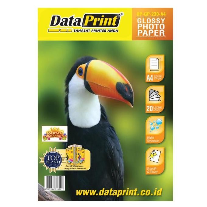 

DataPrint GLOSSY PHOTO PAPER 230 GR A4