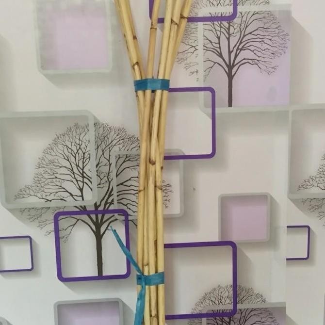 Tali Rotan -Stik Rotan Kulit Grade Ab Panjang 5Meter 9-10Mm Bulat Co
