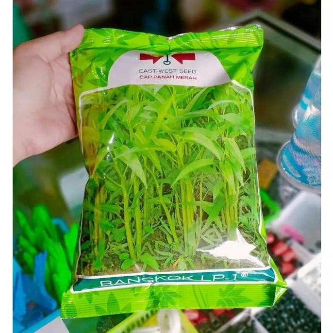Pm - Benih Kangkung Bangkok 1 Kg - Benih Kangkung Serimpi 1 Kg