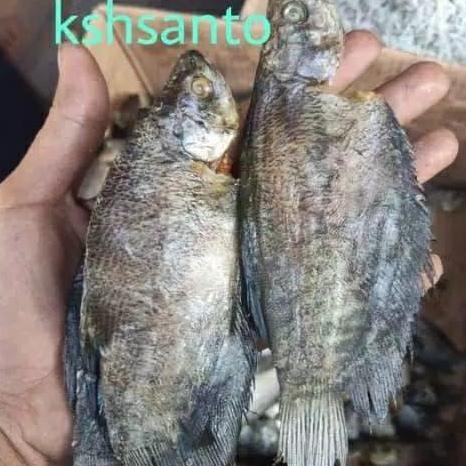 

Ikan Asin Sepat Medan Sedang-1Kg