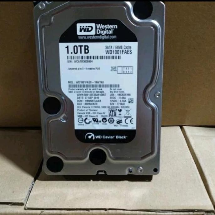 ready HARDISK 1TB WD CAVIAR BLACK WD1001FAES