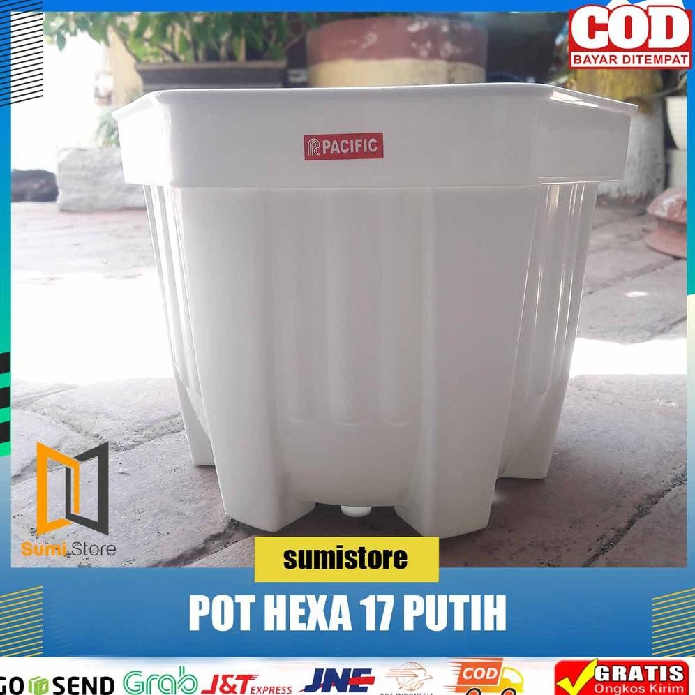Pot Pacific Segi Enam 17 Hexa Putih/ Pot Hexa 17 Trend