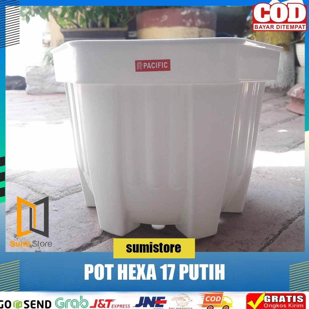 Pot Pacific Segi Enam 17 Hexa Putih/ Pot Hexa 17 Viral
