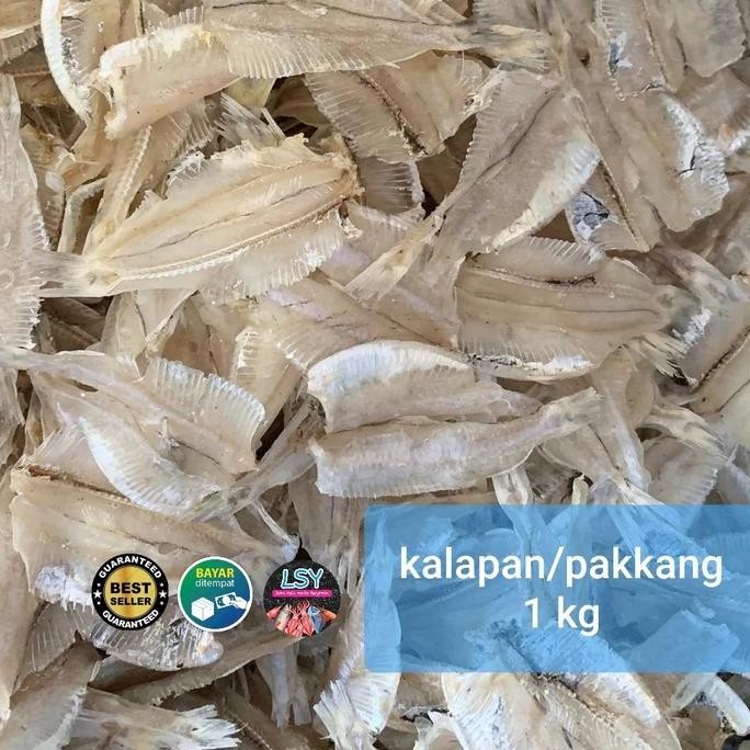 

Kalapan / Pakkang 1Kg