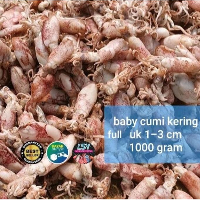

Ikan Asin Baby Cumi / Cumi Rebus Kering Full 1 Kg