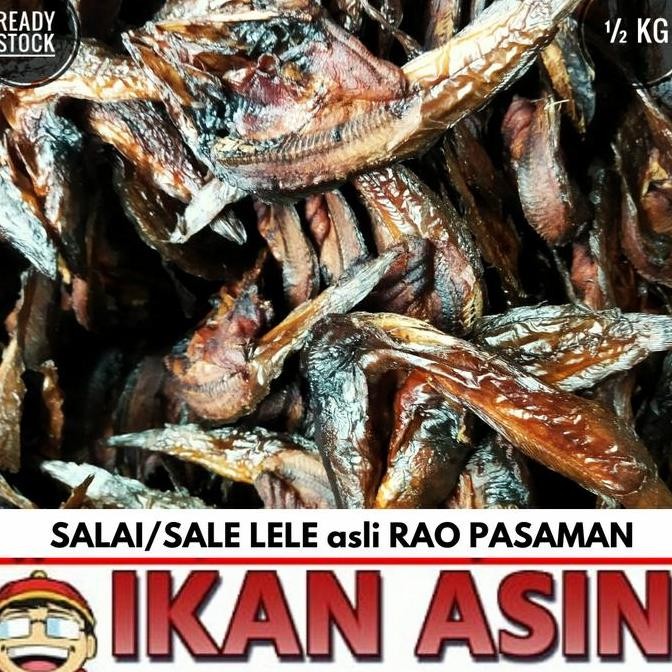 

Ikan Salai / Sale / Lele Asap 500 Gr