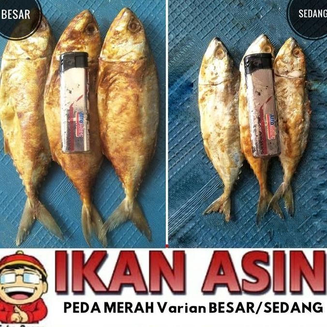

Ikan Asin Peda Merah / Kembung 1 Kg