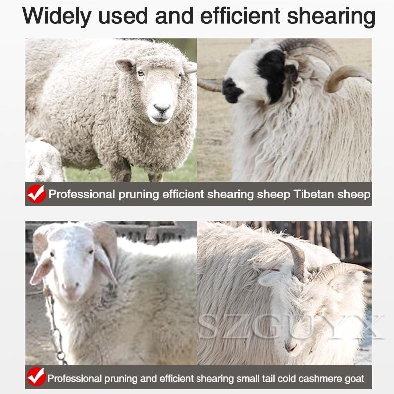 Premium Alat Cukur Bulu Domba Elektrik/Mesin Cukur Sheep/Electric Sheep Shearing Machine/Gunting Bul