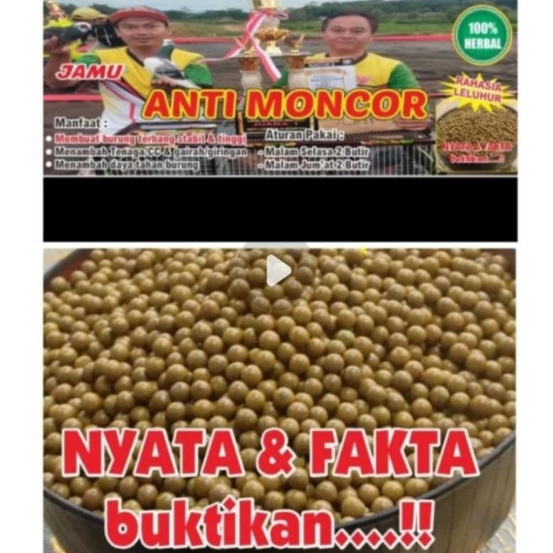 JAMU MONCOR JAMU MERPATI ANTI MONCOR JAMU MENAMBAH SPRIN LBF ND8