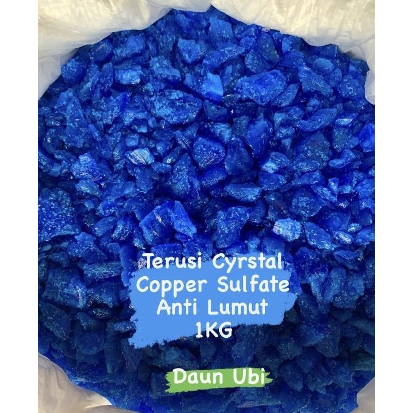 Copper Sulfate / Terusi / Copper Sulphate / Terusi Crystal -