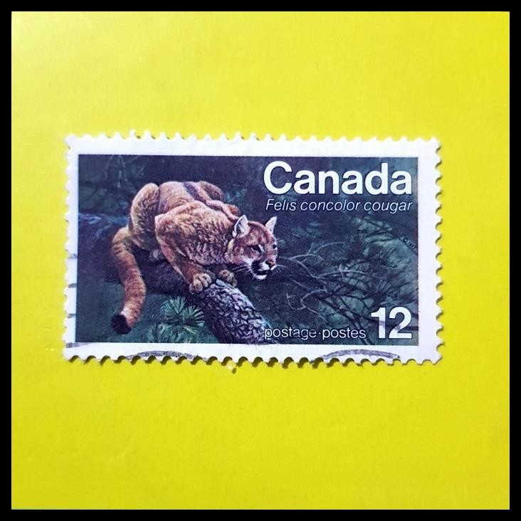 

TERBARU PERANGKO/PRANGKO CANADA. PUMA ~ FELIS CONCOLOR COUGAR !!!!!!