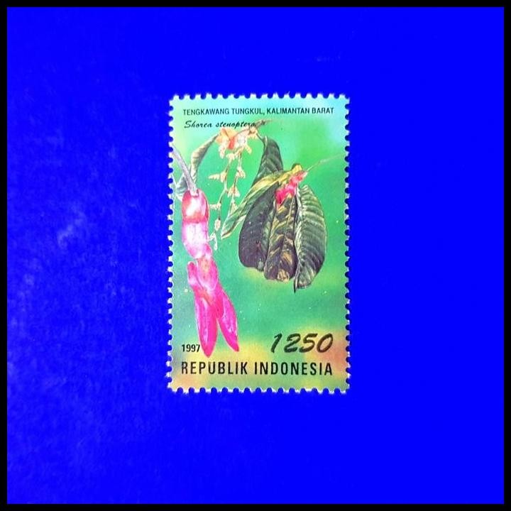 

GRATIS ONGKIR PRANGKO INDONESIA. FLORA, TENGKAWANG TUNGKUL DARI KALIMANTAN BARAT !