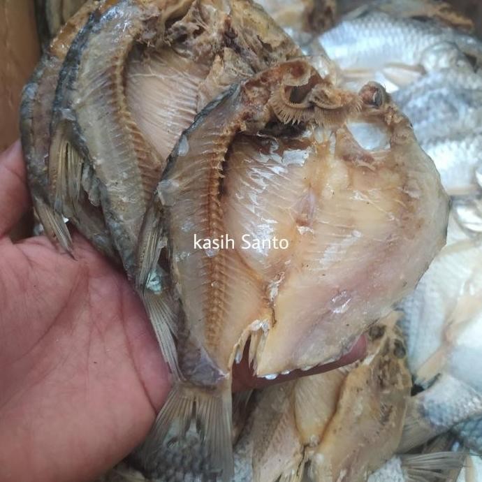 

Aneka Ikan Asin Laut Murah/Belahan Netto-250G