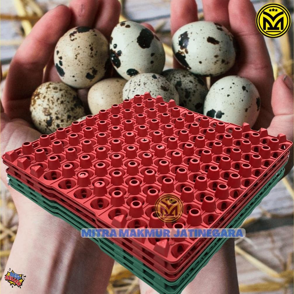 Krat Telur Puyuh Plastik Isi 90 Telur Tray Egg Puyuh Krat Plastik Telor Puyuh Egg Tray Ready Stok