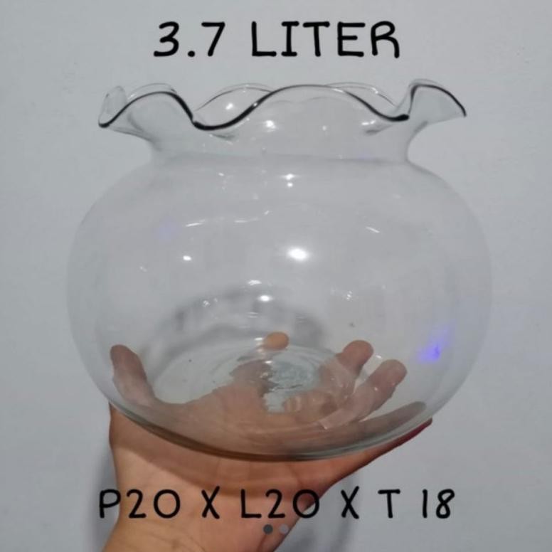 AQUARIUM BULAT KACA 3.7L AQUARIUM HIAS AQUARIUM CUPANG AQUASCAPE