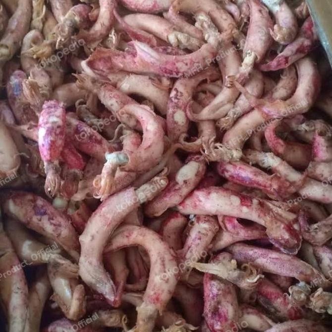 

Cumi Kering Ikan Asin Cumi Murah 1 Kg