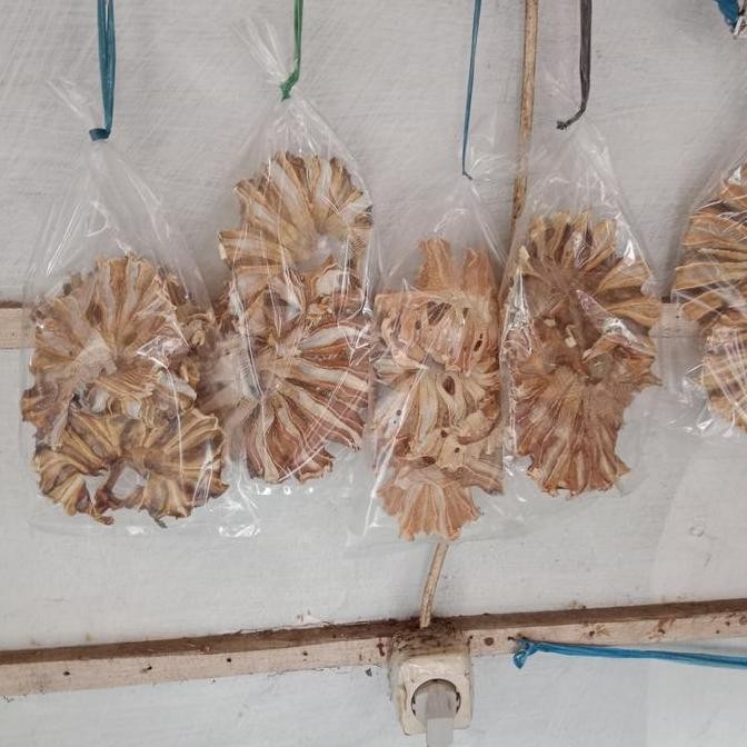 

Ikan asin sirip pari super pangandaran