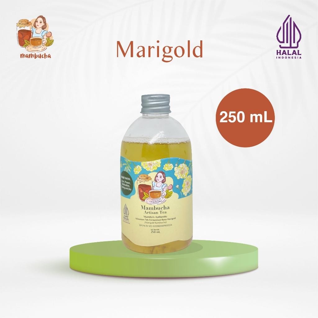 

FM Kombucha Marigold Mambucha 250 Ml Antioksidan Alami
