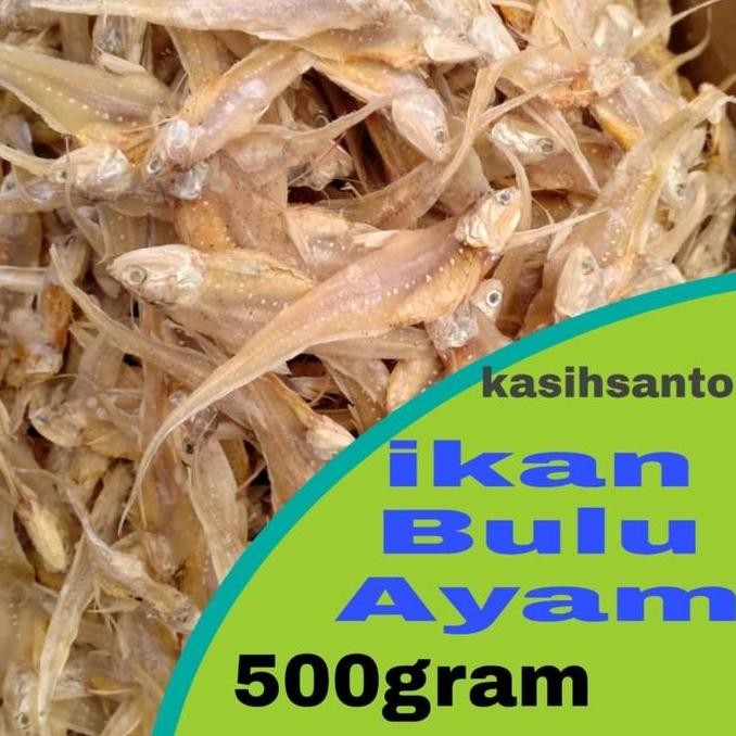 

ikan asin bulu ayam-500gram