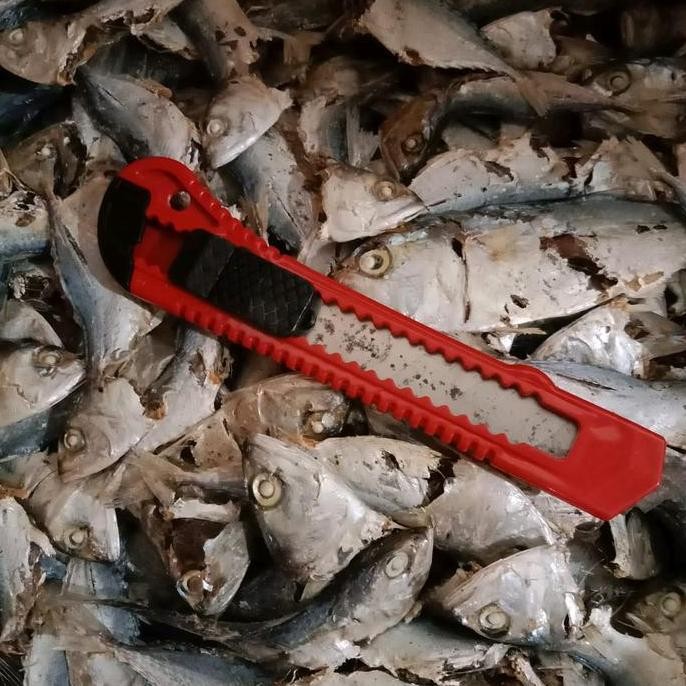 

Ikan Asin Kenaren Rebus Kembung Murah Tanpa Pengawet - Tenggiri, Frozen, Cumi, Udang, Sarden, Ebi