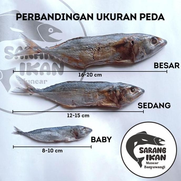 

IKAN PEDA ASIN / KEMBUNG BANYAR KERING 1 Kg Food Laut
