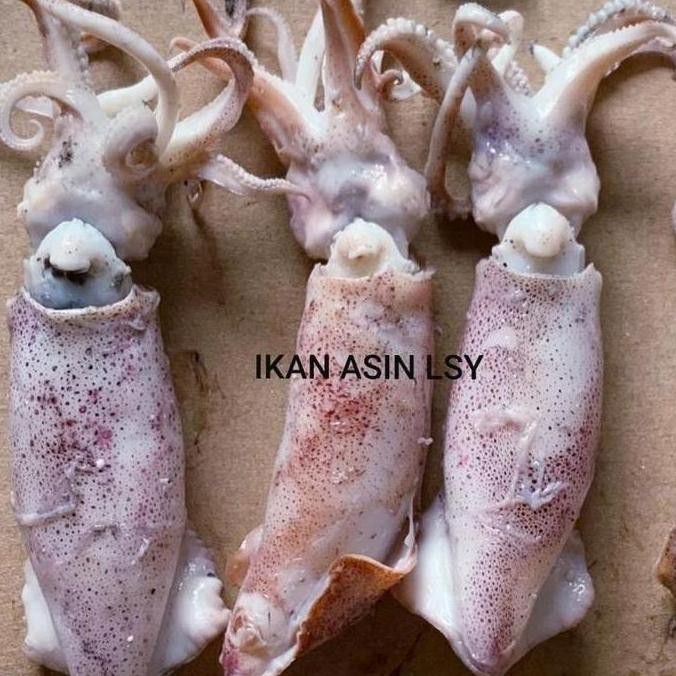 

ikan asin cumi rebus/sotong rebus size jumbo 500gr