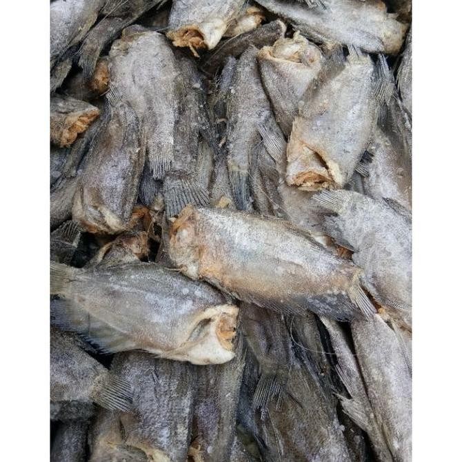 

Terlaris! IKAN ASIN SEPAT KUALITAS TERBAIK 1/2KG