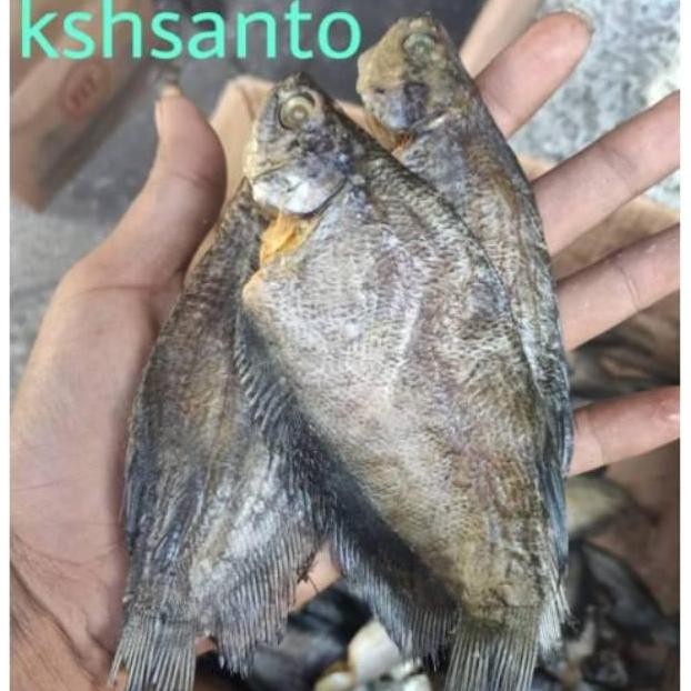 

Terlaris! ikan asin sepat medan-gram