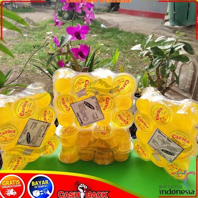 

SIRUP CARICA DIENG OLEH OLEH KHAS WONOSOBO ISI 12CUP MINI