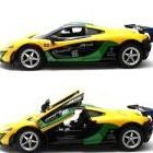 Mainan Mobil Remote Control RC Wild Rally Car