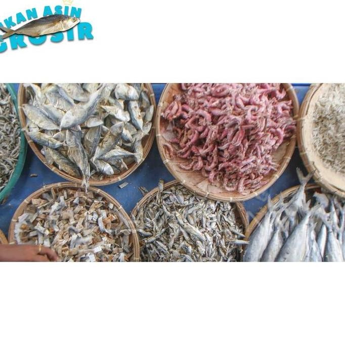 

Grosir Ikan Asin Bulu Ayam 1 kg
