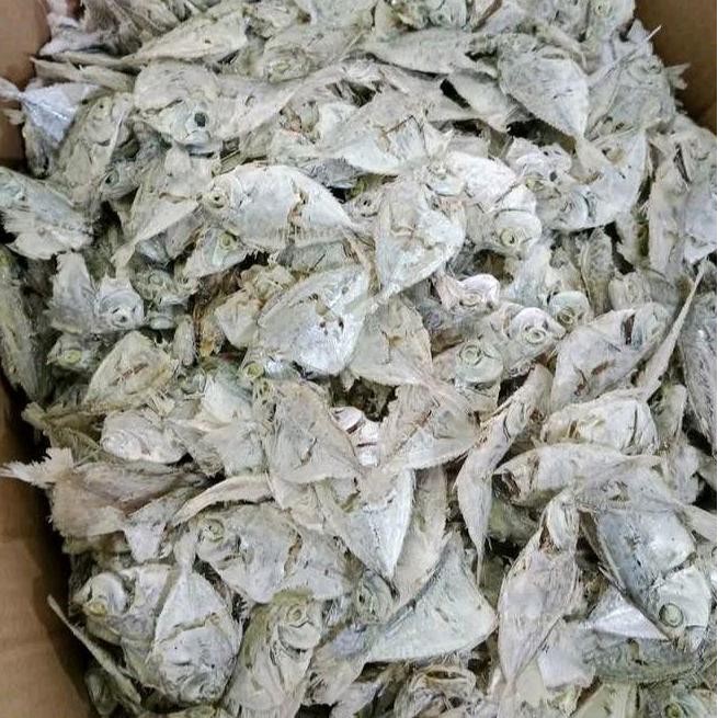 

Ikan Asin Rebus Petek 1 KG ( 1000 Gram )