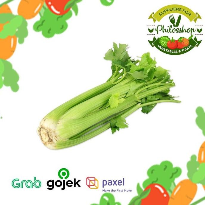 

Celery Stick - Seledri Batang Segar Impor 10Kg - Sayuran Fresh