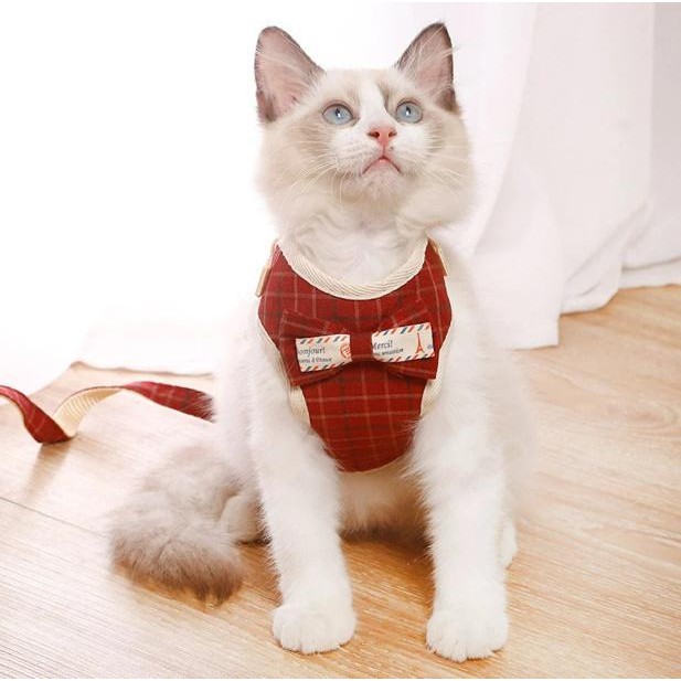 Rompi Kucing Rompi Dengan Tali Rompi Hewan Peliharaan Baju Kucing