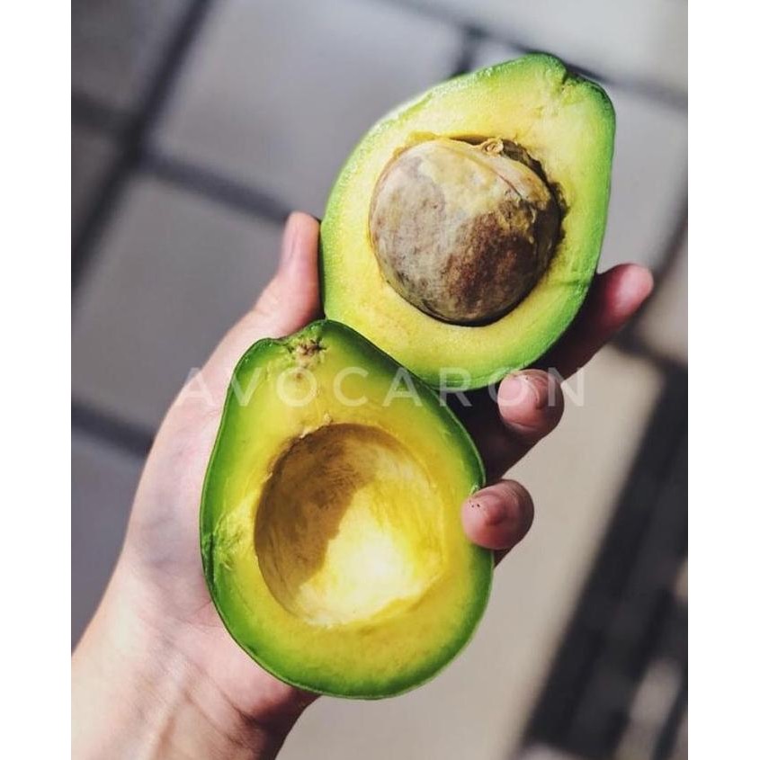 

RKM [PAKET 2 KG] ALPUKAT MENTEGA REGULER AVOCADRON