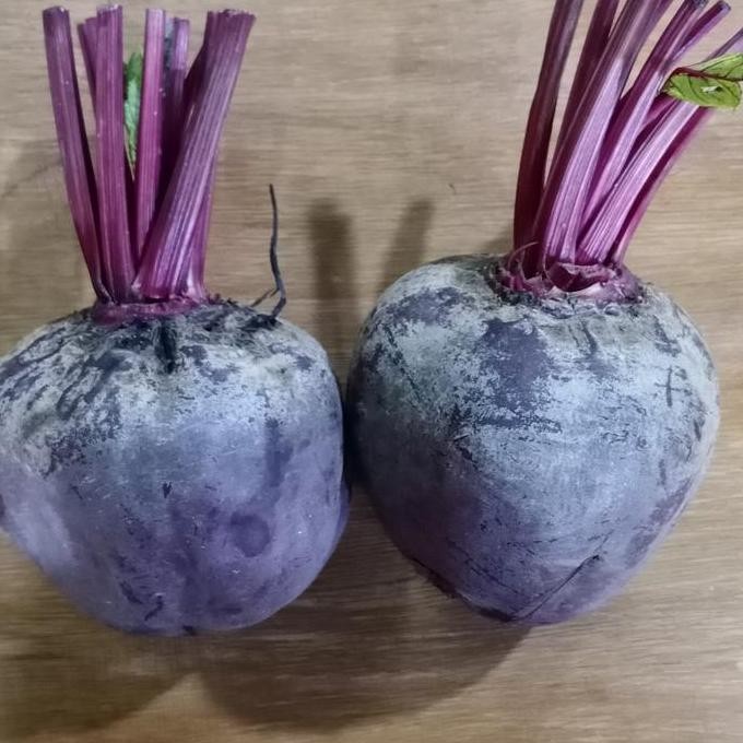 

RKM Buah Bit Beet Root Segar Fresh 1 kg - Grosir