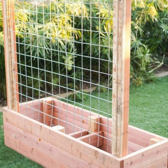 TERLARIS - rak tanaman rambat dengan net