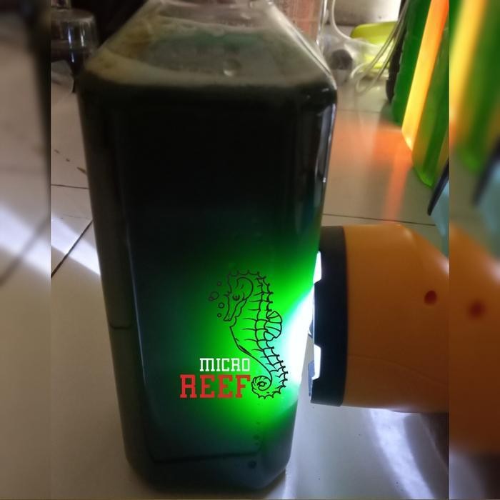 Bibit Chlorella Vulgaris Murni Padat Tidak Tembus Cahaya (Air Asin) Original Dan Terpercaya