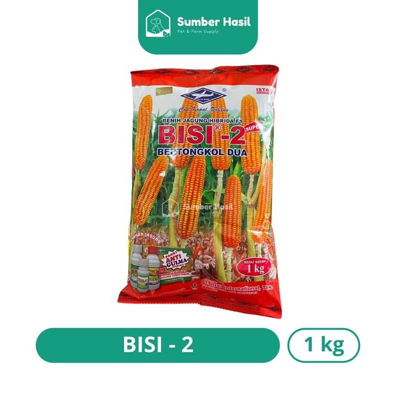 Benih Jagung Bisi2 1Kg Exp 2026 Bibit Jagung Bisi 2 Jagung Tongkol 2 Kapal Terbang Original - Benih 